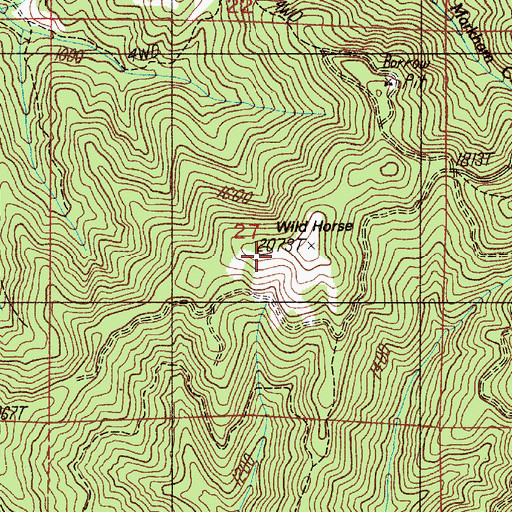 Topographic Map of Wild Horse, OR