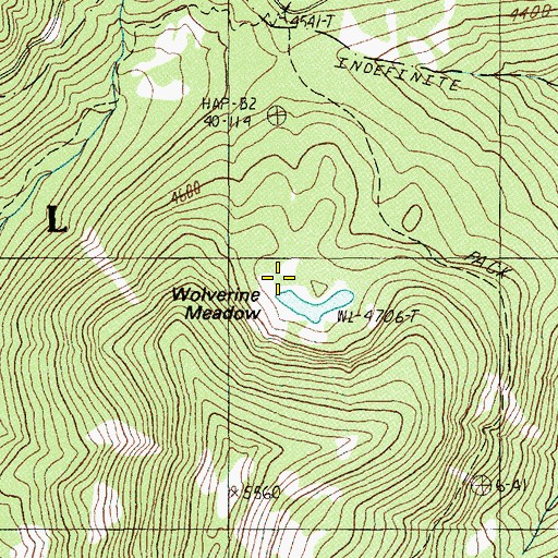 Topographic Map of Wolverine Meadow, OR
