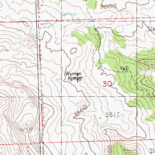 Topographic Map of Wyman Spring, OR
