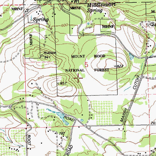 Topographic Map of Wetland Spring, OR