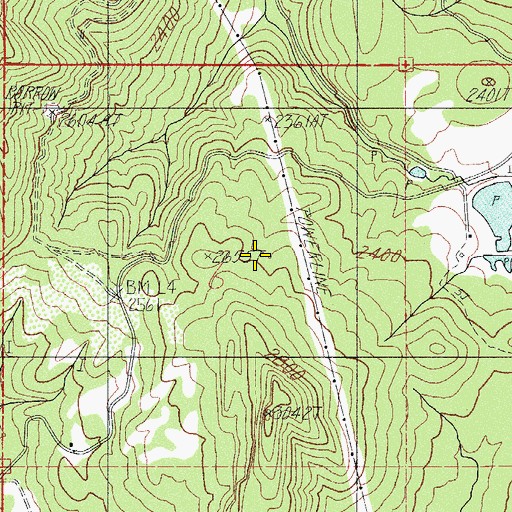 Topographic Map of Straus Spring, OR