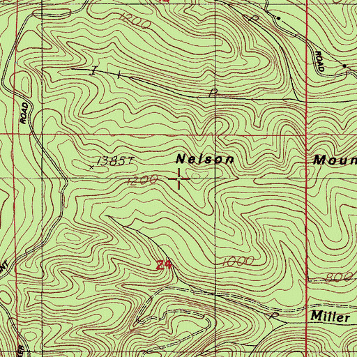 Topographic Map of Nelson Mountain, OR