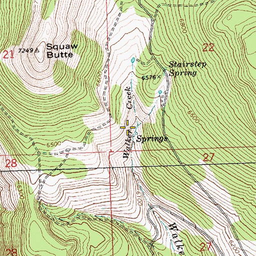 Topographic Map of Woodchopper Spring, OR