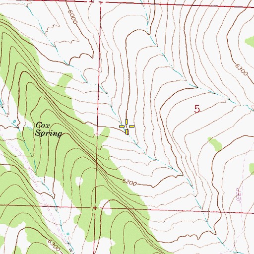 Topographic Map of Fang Spring, OR