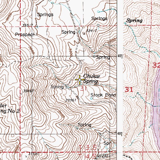 Topographic Map of Chukar Spring, OR
