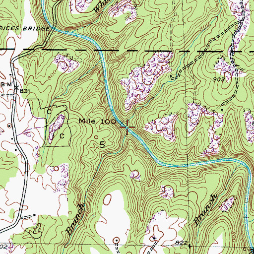 Topographic Map of Baggett Branch, AL
