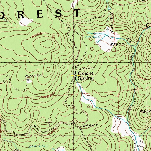 Topographic Map of Downs Spring, OR