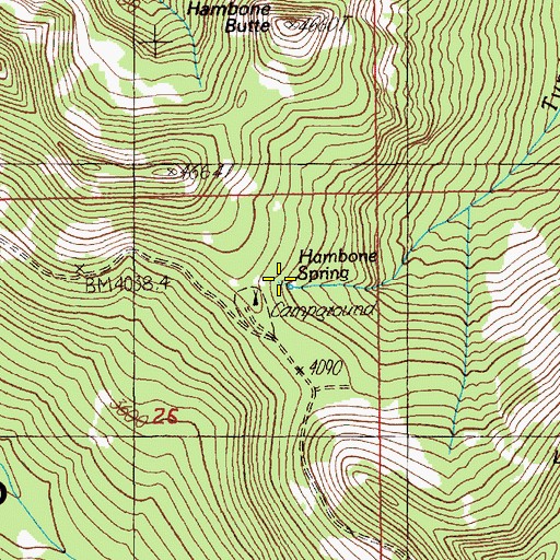 Topographic Map of Hambone Spring, OR