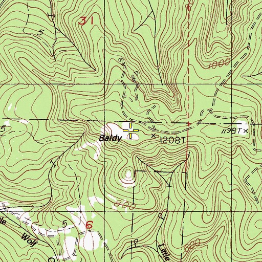 Topographic Map of Baldy, OR