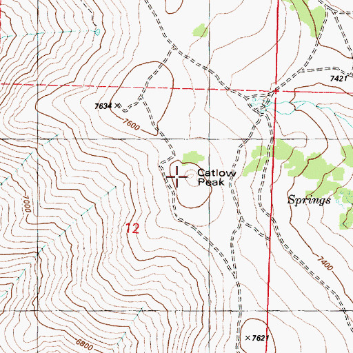 Topographic Map of Catlow Peak, OR