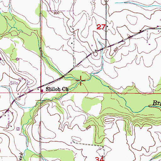 Topographic Map of Banyon Swamp Creek, AL