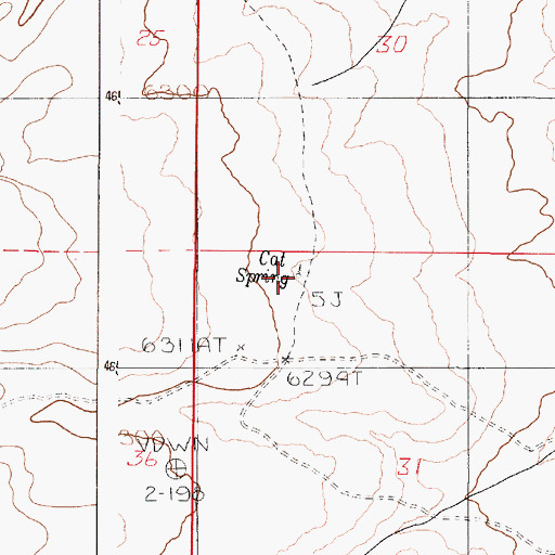 Topographic Map of Cat Spring, OR
