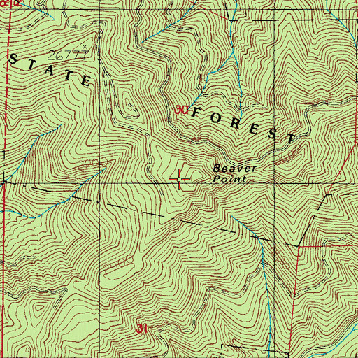 Topographic Map of Beaver Point, OR