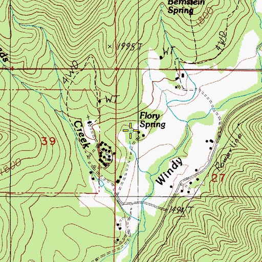 Topographic Map of Flory Spring, OR