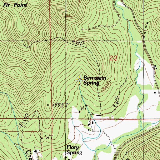 Topographic Map of Bernstein Spring, OR