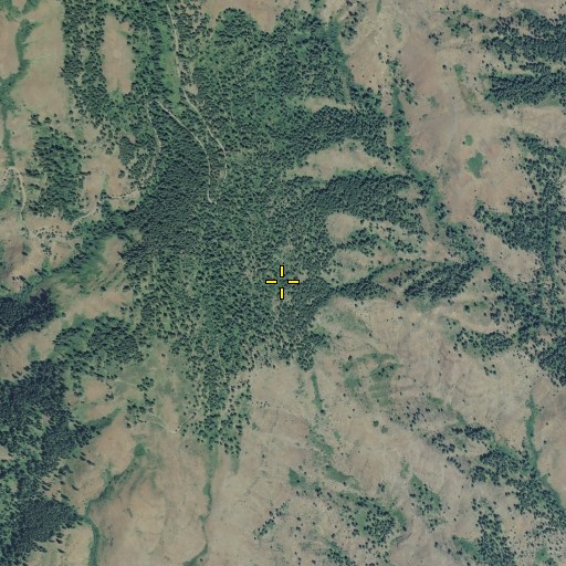 Aerial/Satellite Image of Grouse Flat, OR