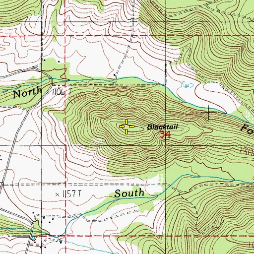 Topographic Map of Blacktail, OR