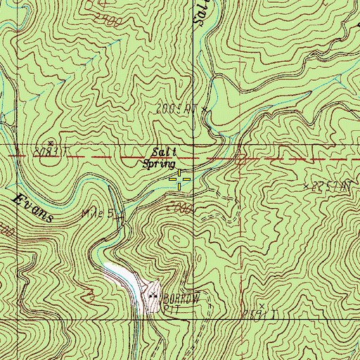 Topographic Map of Salt Spring, OR