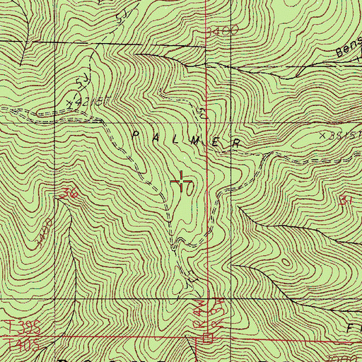 Topographic Map of Palmer Ridge, OR