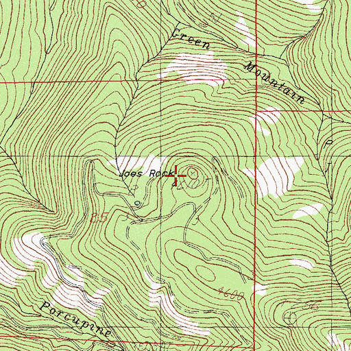 Topographic Map of Joes Rock, OR