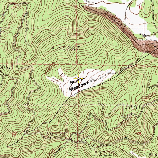 Topographic Map of Bunny Meadows, OR