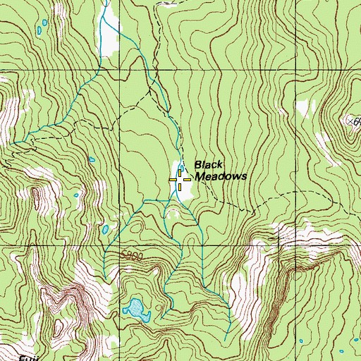 Topographic Map of Black Meadows, OR
