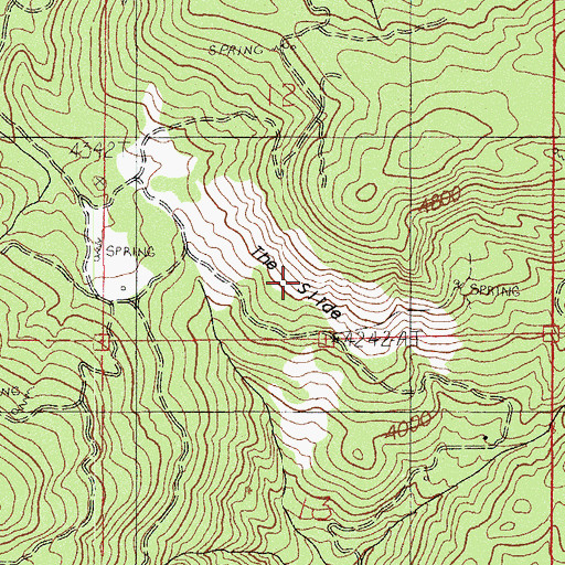 Topographic Map of The Slide, OR