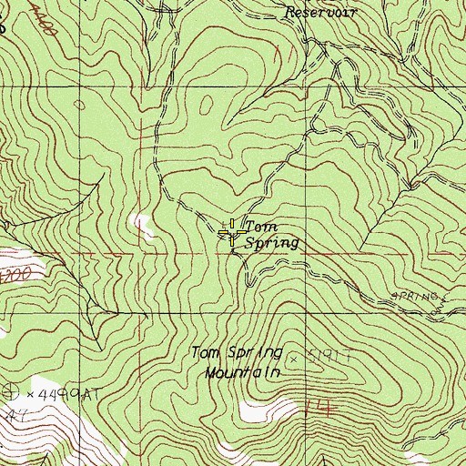 Topographic Map of Tom Spring, OR