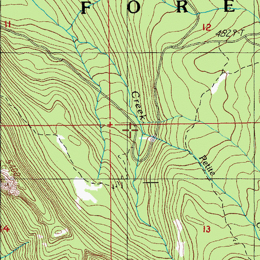 Topographic Map of Petite Creek, OR