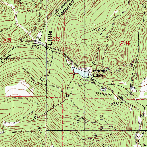 Topographic Map of Hamar Lake, OR
