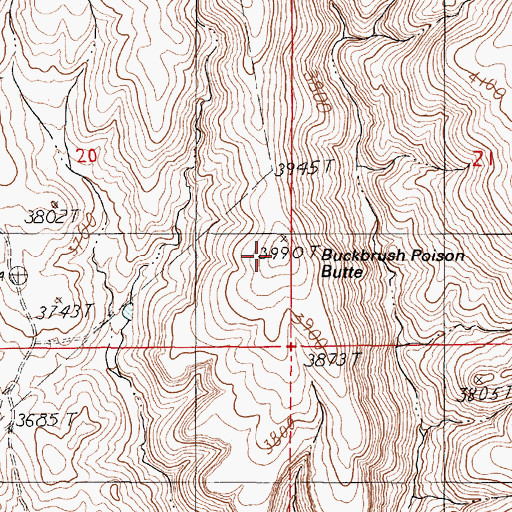 Topographic Map of Buckbrush Poison Butte, OR
