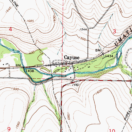 Topographic Map of Cayuse, OR