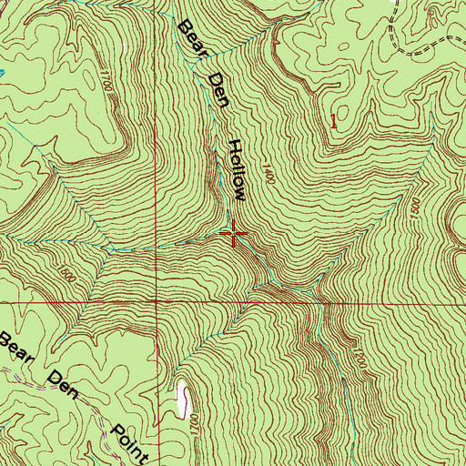 Topographic Map of Bear Den Hollow, AL