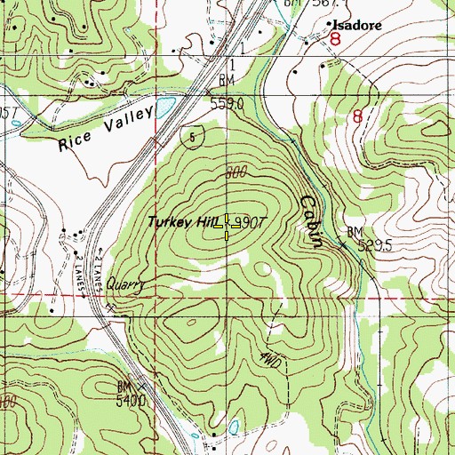 Topographic Map of Turkey Hill, OR