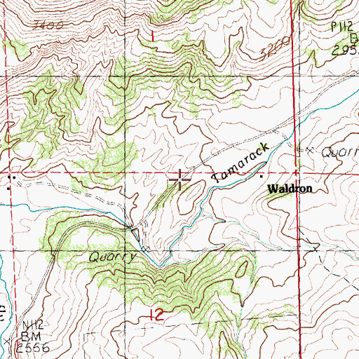 Topographic Map of Waldron (historical), OR
