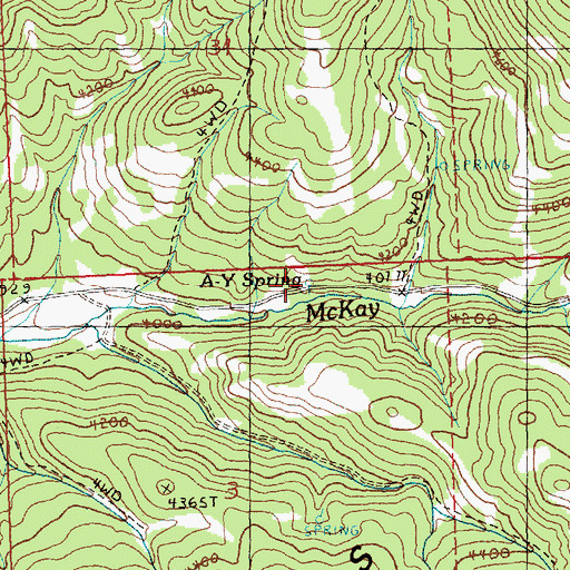 Topographic Map of A-Y Spring, OR