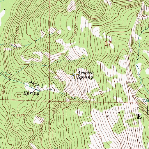 Topographic Map of Amelia Spring, OR