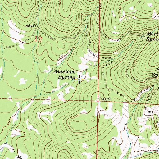 Topographic Map of Antelope Spring, OR