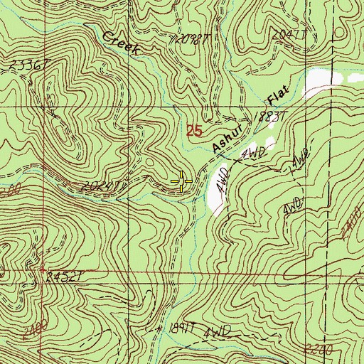 Topographic Map of Ashur Flat, OR