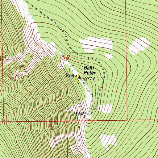 Topographic Map of Bald Peter, OR
