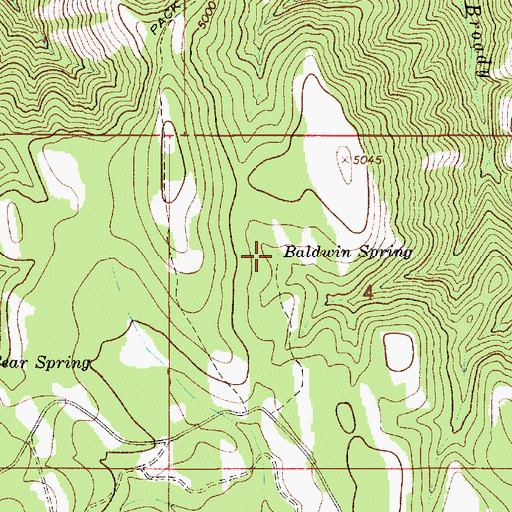 Topographic Map of Baldwin Spring, OR