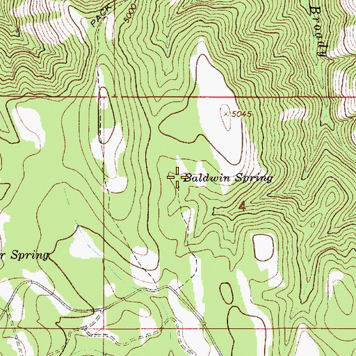 Topographic Map of Baldwin Spring, OR