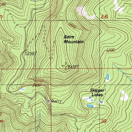 Topographic Map of Balm Mountain, OR