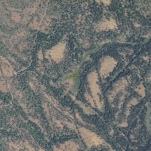 Aerial/Satellite Image of Bear Meadows, OR