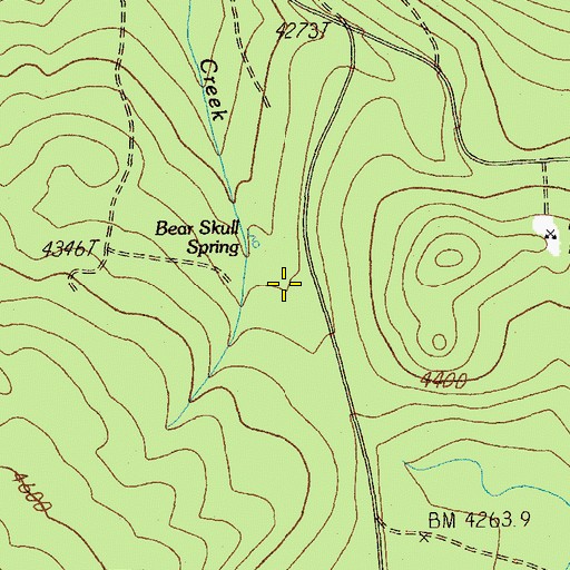 Topographic Map of Bear Skull Spring, OR
