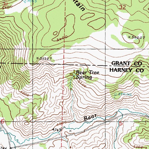 Topographic Map of Bear Tree Spring, OR