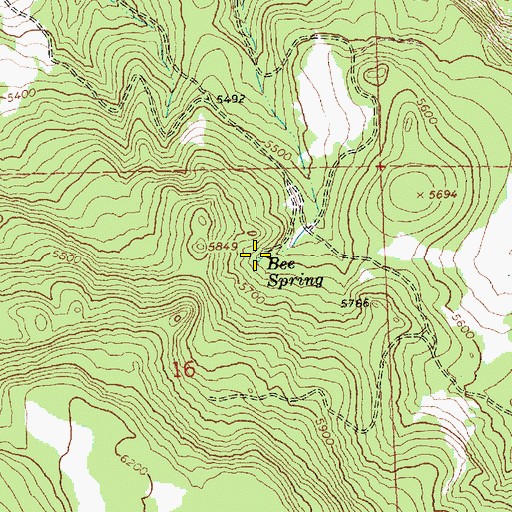 Topographic Map of Bee Spring, OR