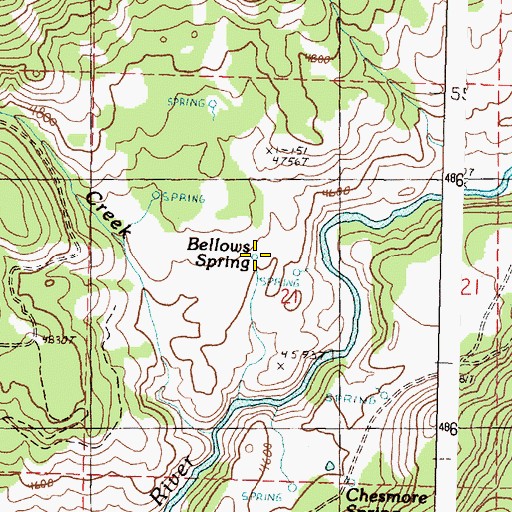 Topographic Map of Bellows Spring, OR