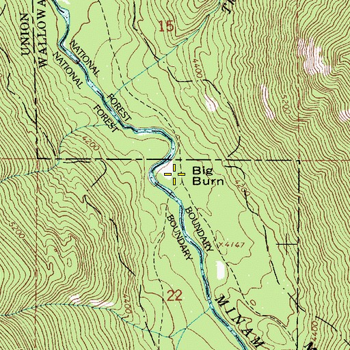 Topographic Map of Big Burn, OR