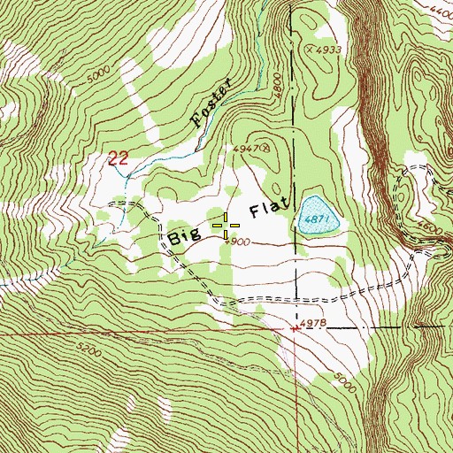 Topographic Map of Big Flat, OR